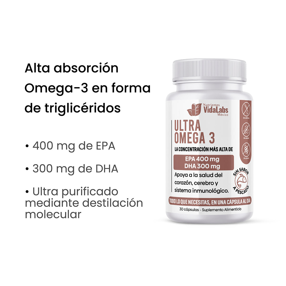 altaabsorcion.jpg